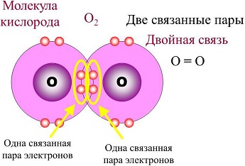 Синглетный кислород